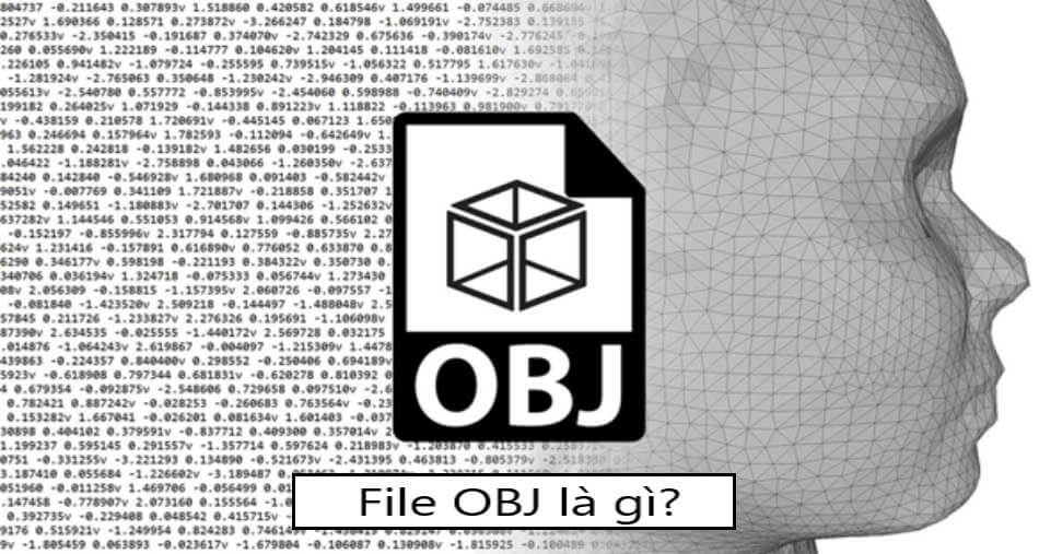 Fiel OBJ là gì?